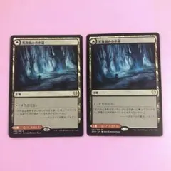MTG 荒廃路の小道 & 狭間の小道 2枚セット
