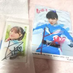 Item thumbnail for item 43811ea7-e598-490e-af45-32223087d6b8