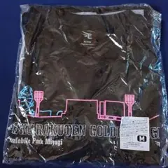 楽天イーグルス　夏スタ応援2025　Tシャツ　Mサイズ