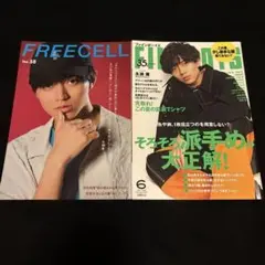 キンプリ King & Prince永瀬廉 ファインボーイズ FREECELL