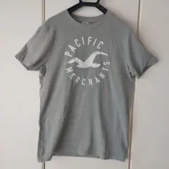 HOLLISTER　 グレー Tシャツ