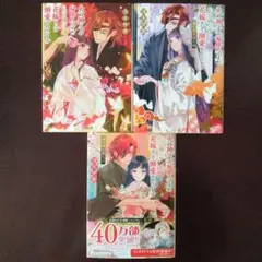 火の神さまの掃除人ですが、いつの間にか花嫁として溺愛されています