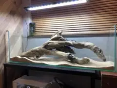 流木A217 超大型