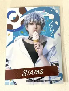 エリステ サマフェス シャムス