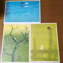 渡辺あきお　ポストカード