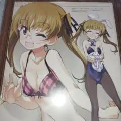 ガールズ＆パンツァー 　大野あや　額装　B5サイズ