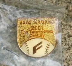 第83回長野県高校野球大会2001年記念ピンバッチ