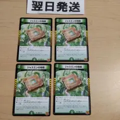⒂RP21 ジャスミンの地版