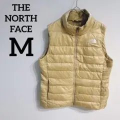 Item thumbnail for item 53e4d8a6-754c-4794-946b-0bb84dc3a4c2