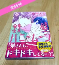 鉄壁ハニームーン 4　帯付き