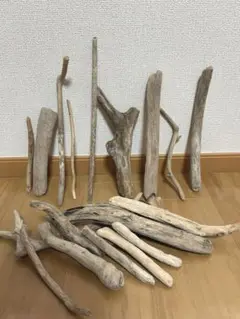 Item thumbnail for item 6435ee7c-2564-4de4-b15e-24a1f276ef6d