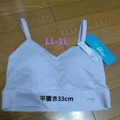 sloggi ライトパープル ブラジャー