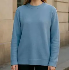 美品 エッシュ ニットセーター Lサイズ 水色 リブ編み 長袖 シンプルデザイン