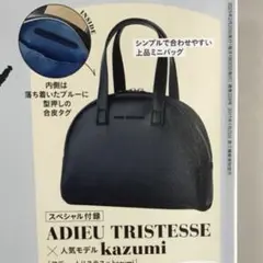 リンネル3月号付録 ADIEU TRISTESSE×kazumiコラボ バッグ