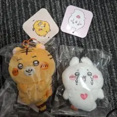 Item thumbnail for item 65ba5f78-dc56-4203-afb9-fba057e07cdb