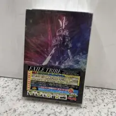 EXILE TRIBE PERFECT YEAR LIVE TOUR 2014
