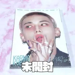 Straykids スキズ ヒョンジン KARMA アコーディオン 新品未開封