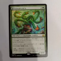 苔生まれのハイドラ　ファウンデーションズ　MTG