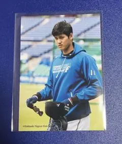 2025年最新】日本ハムホームランソーセージ 大谷翔平の人気