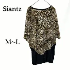 Item thumbnail for item 189ae278-06e1-470d-9aa0-73dea7ca721f