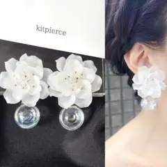 Item thumbnail for item 15da8ce7-7fd8-4700-8075-405149917a5c