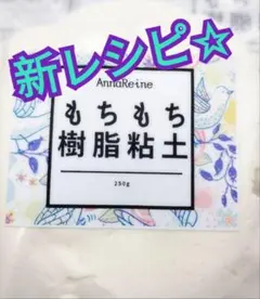 ✨ドドンと250g！超もちもち樹脂粘土で作品作りを楽しもう！リニューアル✨️