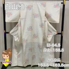 白山紬 正絹 着物