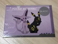 ピカチュウとイーブイフレンズ エーフィ・ブラッキー