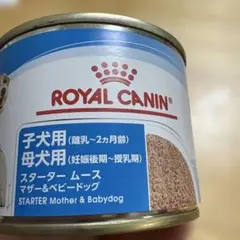 Item thumbnail for item 38808b90-1742-4bd9-b45c-c3c32ed02d56