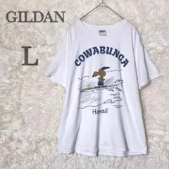スヌーピー　Tシャツ　ギルダン　日焼け　ハワイ　サーフズアップピーナッツ　モニ