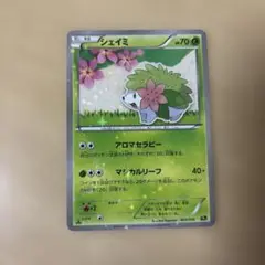 ポケモンカード ジェイミ HP70