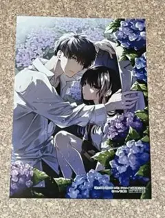 【新品】花とゆめ 14号 墜落JKと廃人教師 通販限定ブロマイド