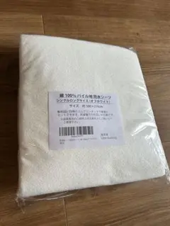 Item thumbnail for item 0da3e65d-90eb-41bb-ae58-ea4299787517