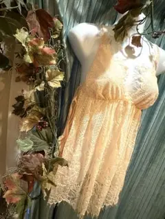ANNEBRA 総レース×キャミソールドレス 2点セット アンブラ