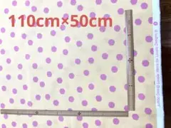 Item thumbnail for item 72183546-bbeb-4965-b12d-c7d2734eb2a1