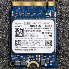 KIOXIA 256GB NVMe SSD