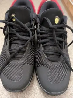 Item thumbnail for item 1b304130-76d2-4216-846f-877bc434446f