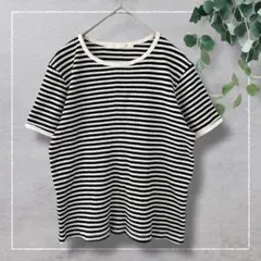 細ボーダー配色リブTシャツ(F)クルーネック　半袖　綿混　黒白