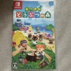 あつまれ どうぶつの森 Nintendo Switch