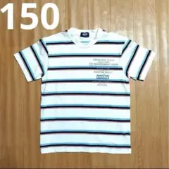 cosby ストライプ Tシャツ 150サイズ