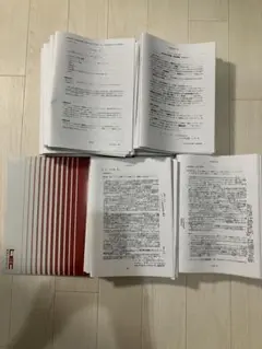 LEC 2025 論文完成講座 民事訴訟法 刑事訴訟法商法行政法 テキストDVD