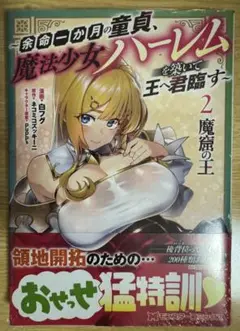 魔窟の王 ～余命一か月の童貞、魔法少女ハーレムを築いて王へ君臨す～ 2巻