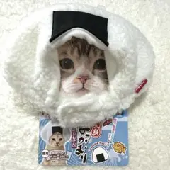 Item thumbnail for item 2d722284-2ebf-4da2-856a-91344ae7f345