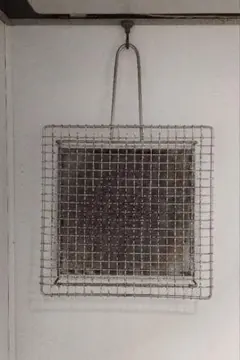 Item thumbnail for item 7a38c987-5e11-4f57-ada0-49c6584d4146