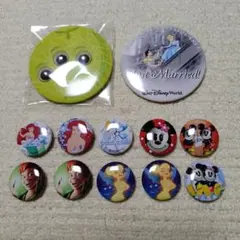 ディズニー　缶バッジ　ディズニーワールド　12個セット
