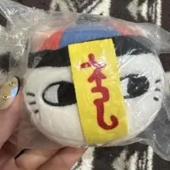 もっちる　フェイスマスコット　ナガノキャラクターズ