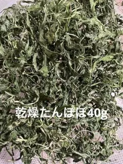 Item thumbnail for item dbc96ebd-5a80-4624-8287-fd4acd4ba096