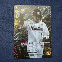 ドリームオーダー　SSP 山田哲人　サイン入り　ヤクルトスワローズ ドリームオーダー ヤクルトスワローズ 山田哲人 夢の共燕｜Yahoo