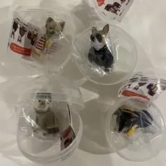 Item thumbnail for item 1164a811-fc11-4417-b606-f9fbd731fb5e