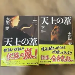 ⭐︎天上の葬 上下巻セット⭐︎